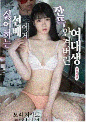 菠萝蜜视频在线观看市井群像剧琥珀巷